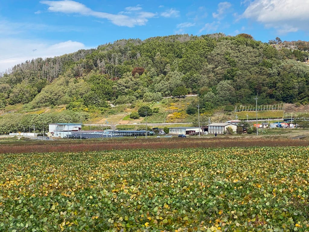 東側の山