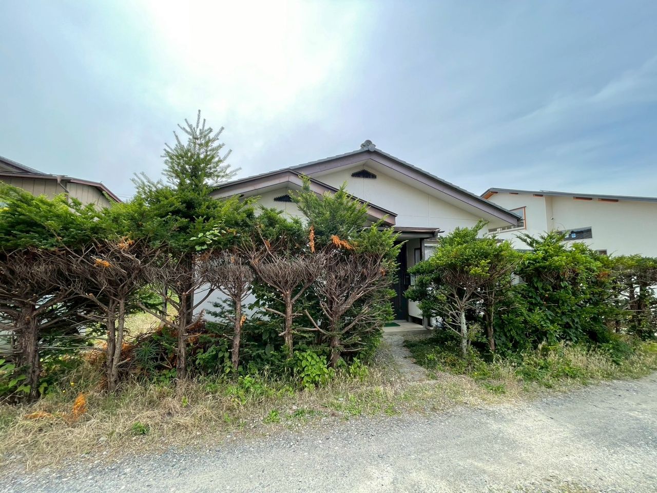 建物東側 植栽・外物置撤去予定