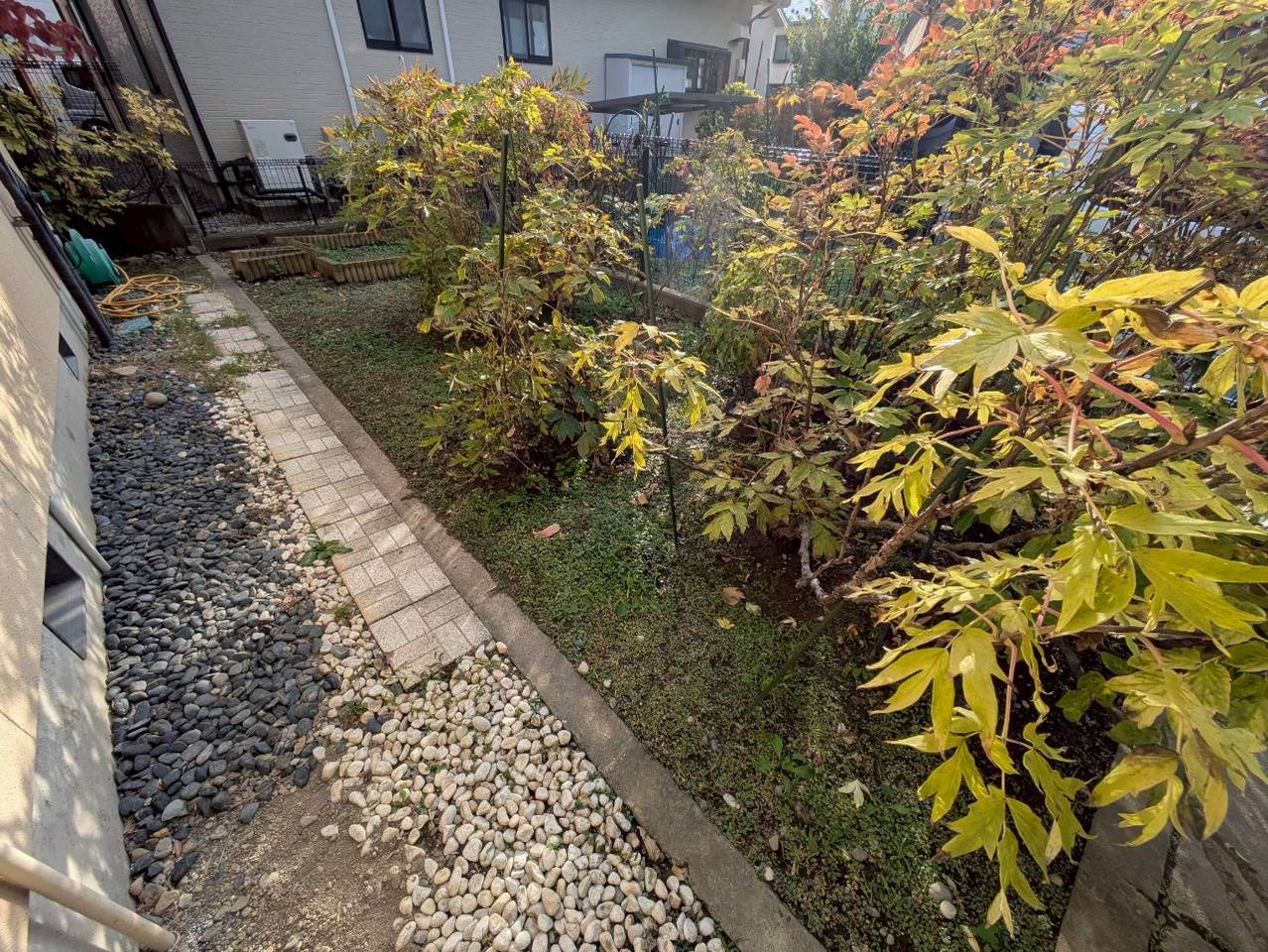 庭