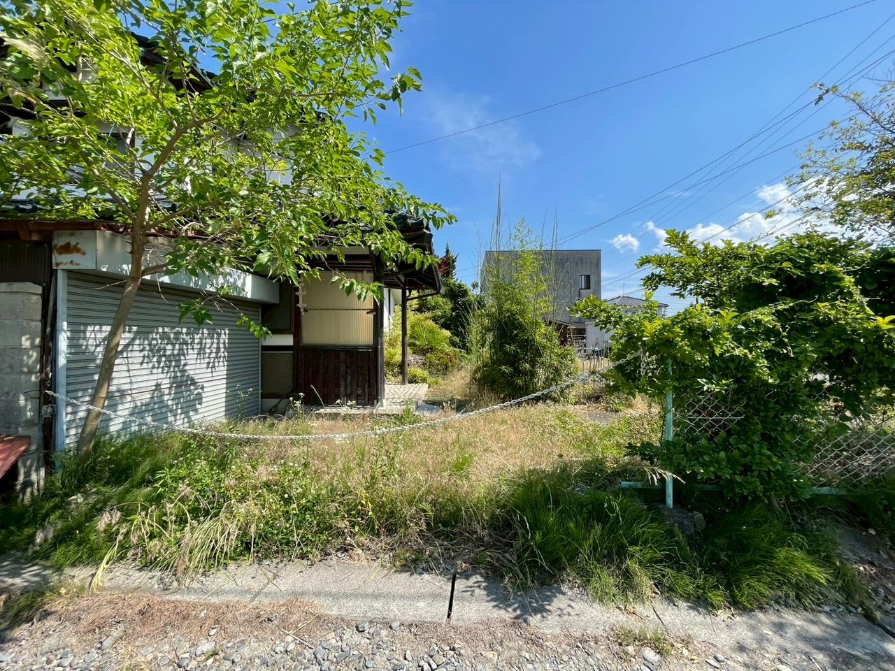 敷地北側から売却地を撮影