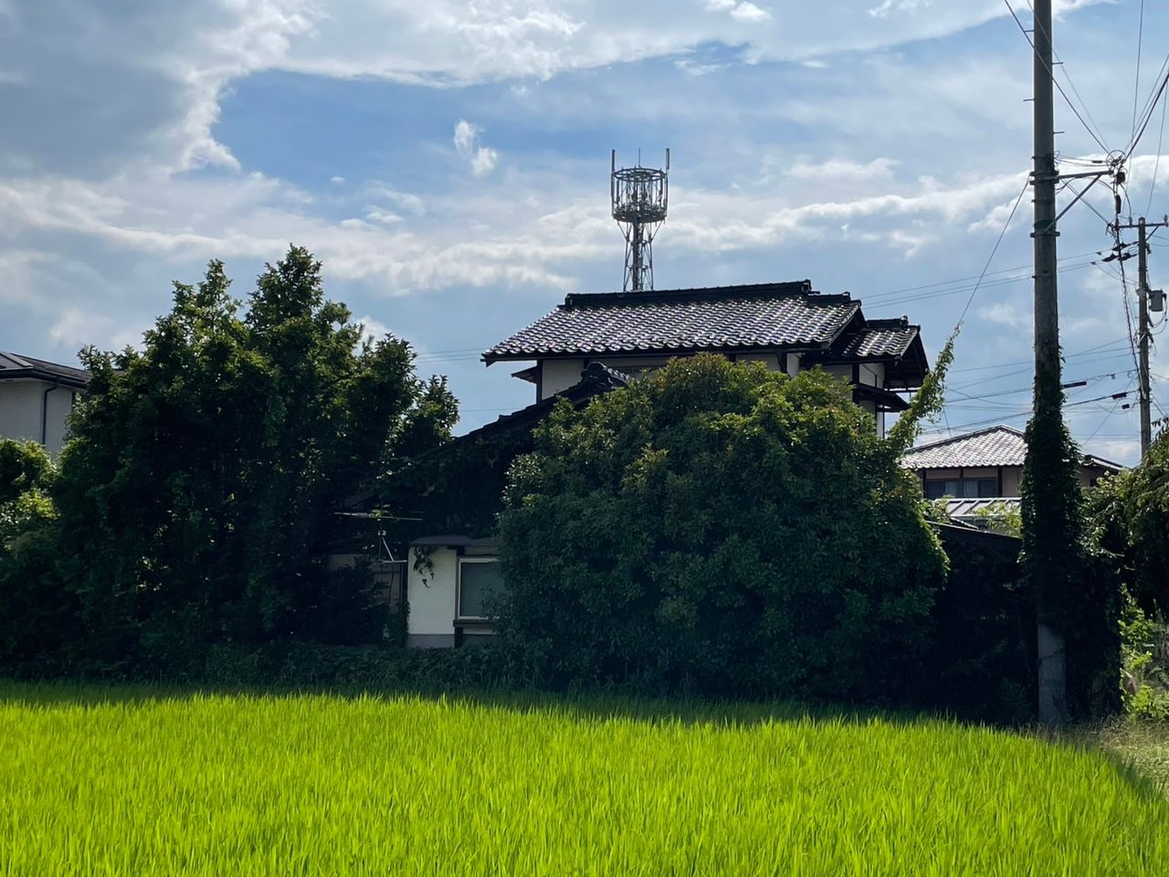 敷地東側から売却地を撮影