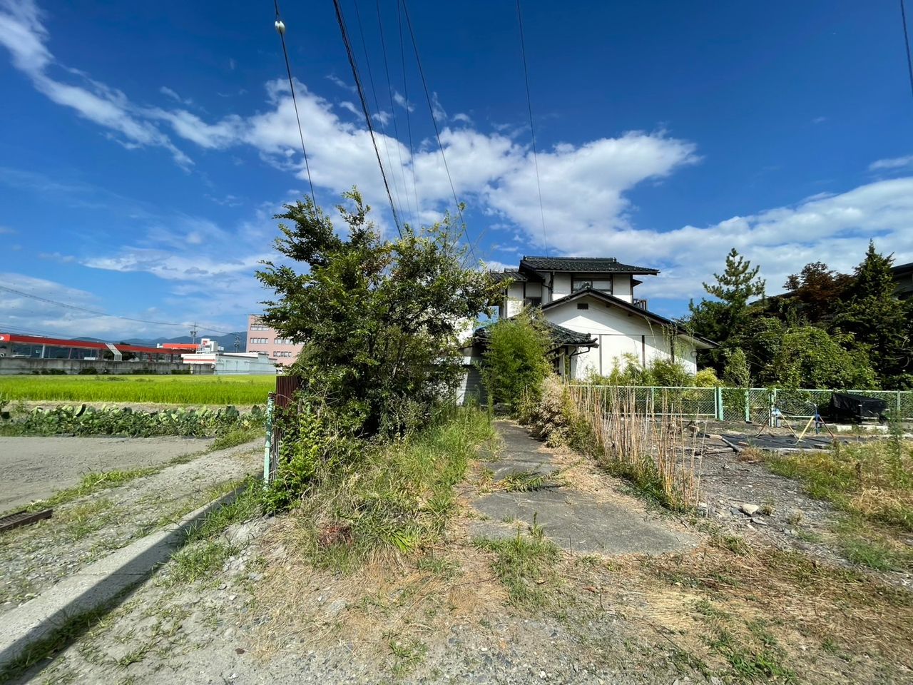 敷地西側から売却地を撮影