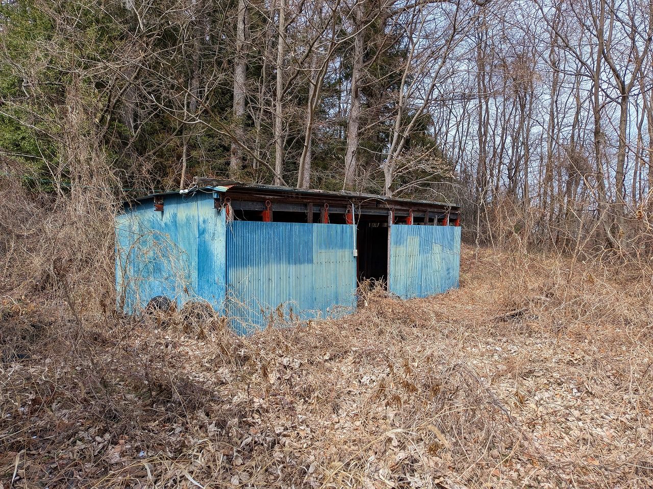 建物2 南側より