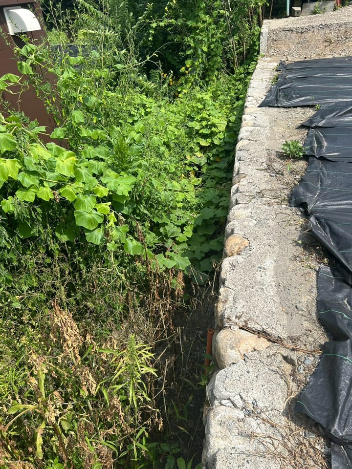 敷地東側水路