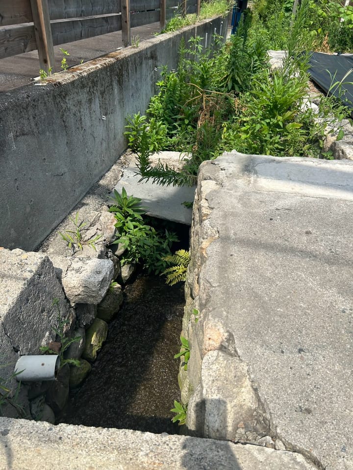 敷地北側水路