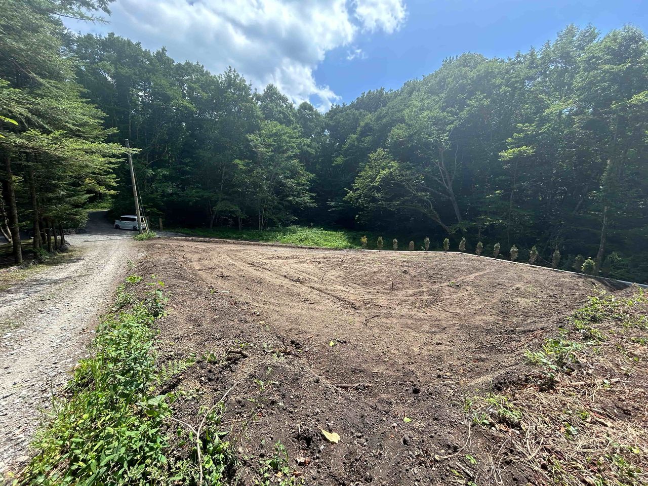 東側道路から見た敷地
