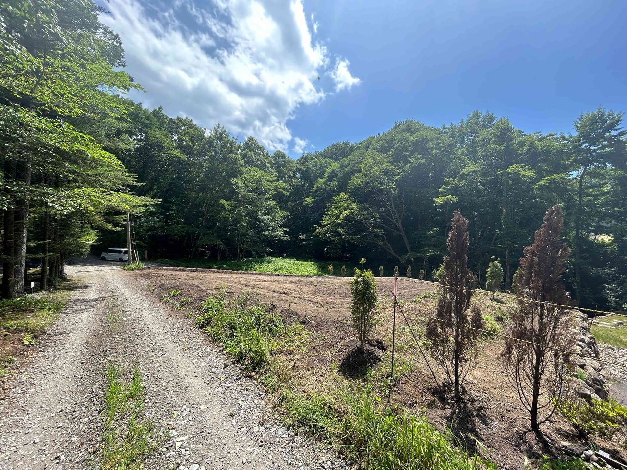 東側道路から見た敷地