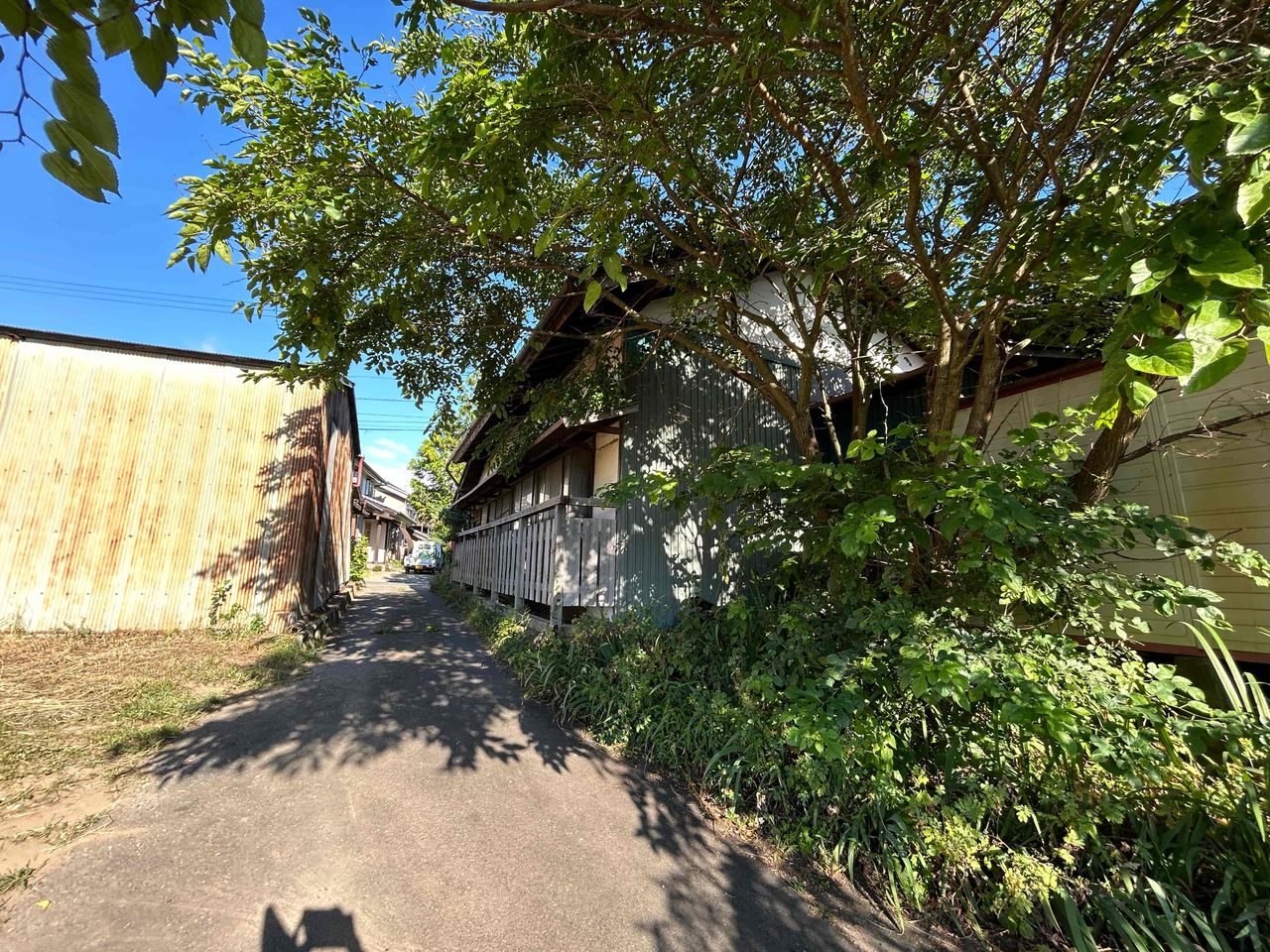 道路から見た外観