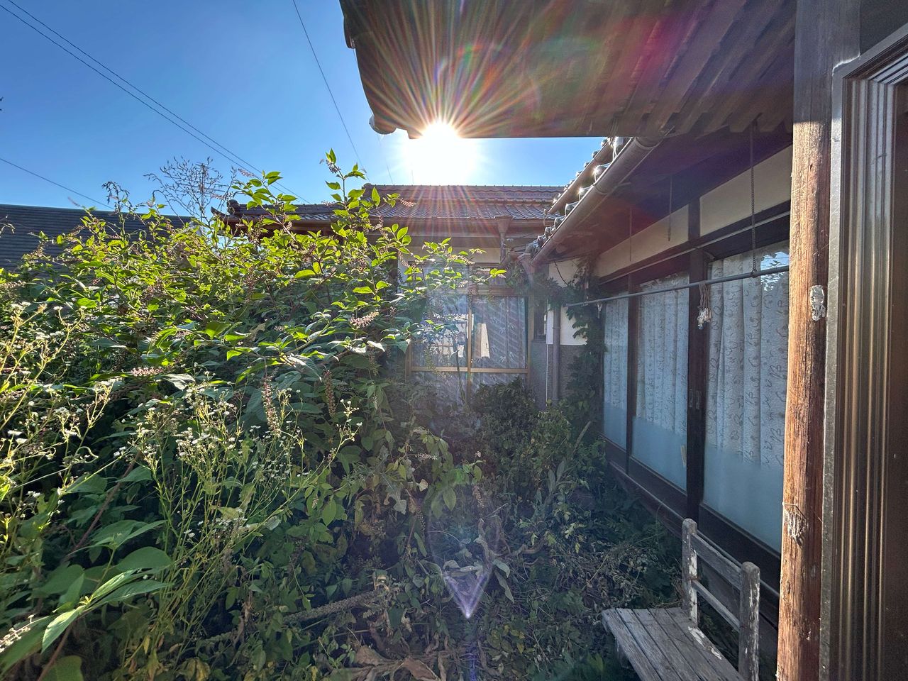 庭と外観