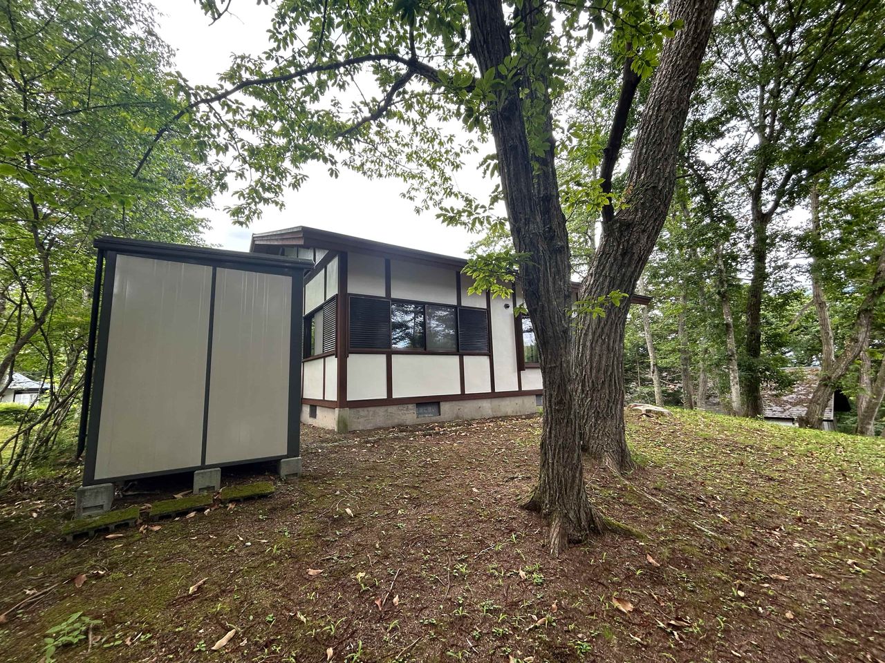 敷地から見た建物