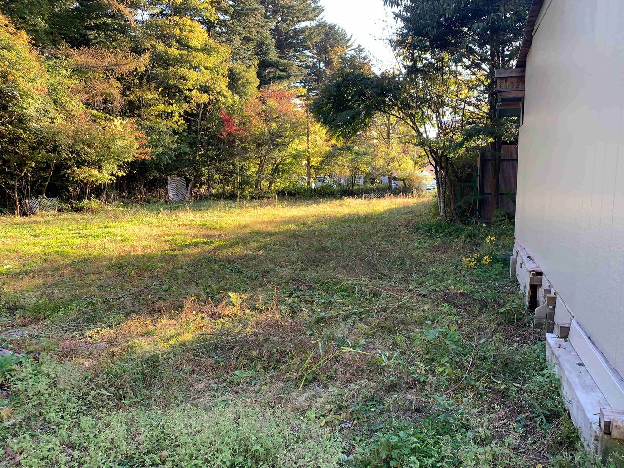 敷地