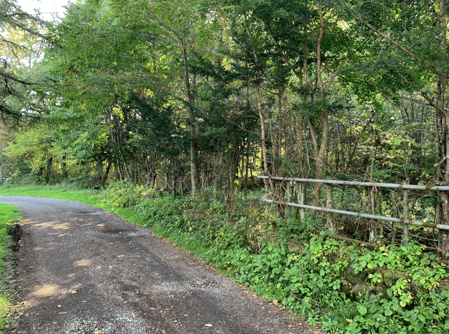 道路と敷地