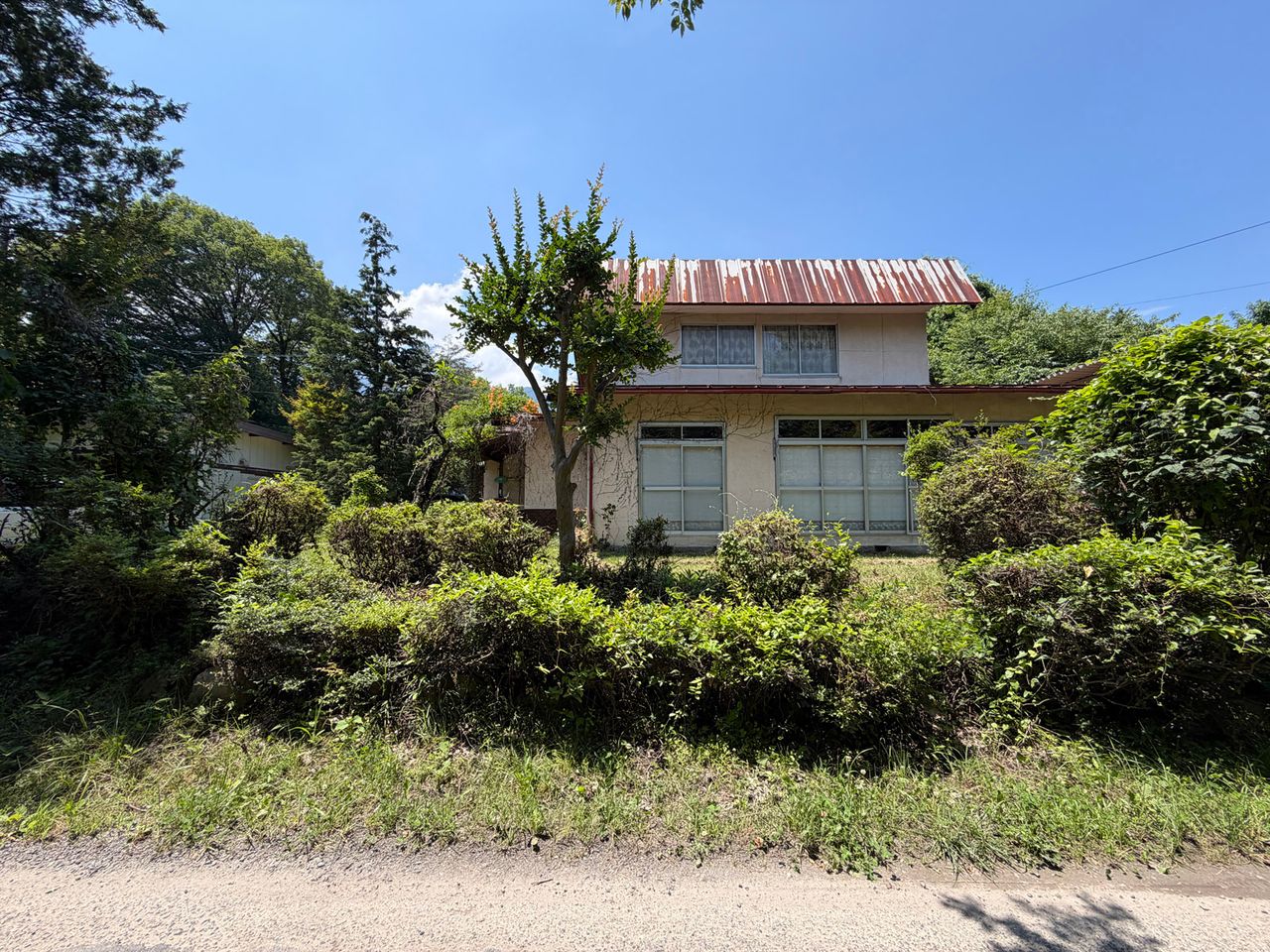 南東側の接道から撮影
