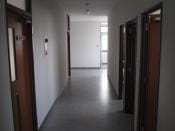 2F 共用廊下