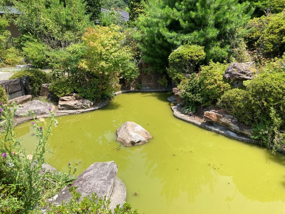 庭園