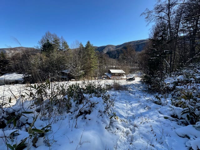 対象地 2025.12.6撮影