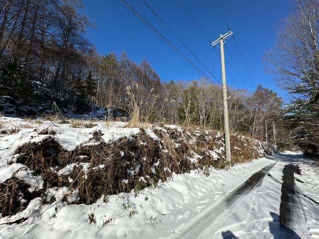 対象地と前面道路 2025.12.6撮影