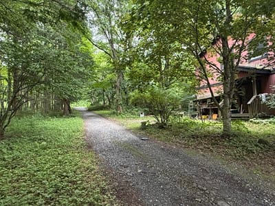 美しい緑のトンネルが続く、風情ある前面道路。この静かな小道の先に、自分だけの広大な森の邸宅が待っています。都会の喧騒から完全に切り離されたアプローチが、隠れ家へ向かうようなワクワク感を高めます。