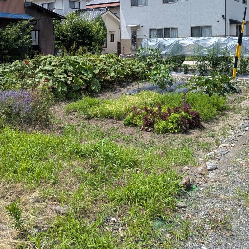 離れの前には家庭菜園スペース。季節の野菜やハーブを育てながら、自然とつながる暮らしが実現します。