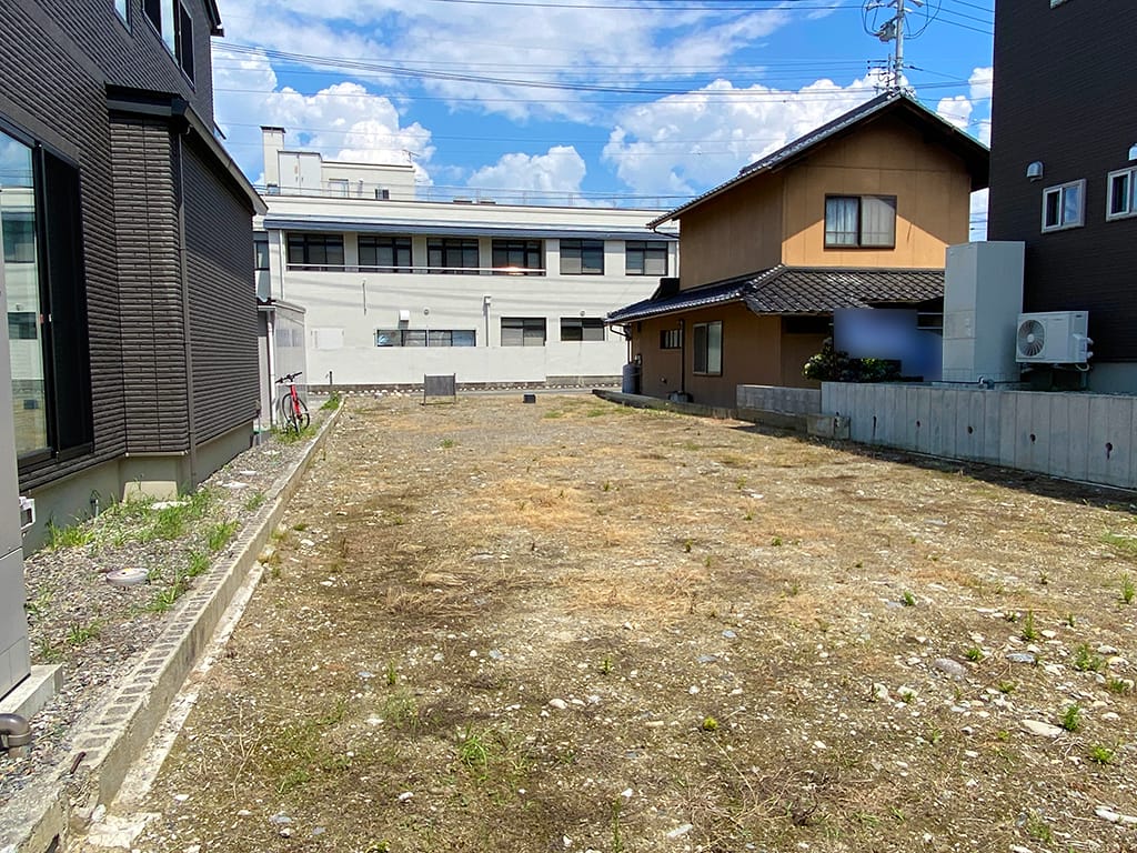 2026年7月撮影
