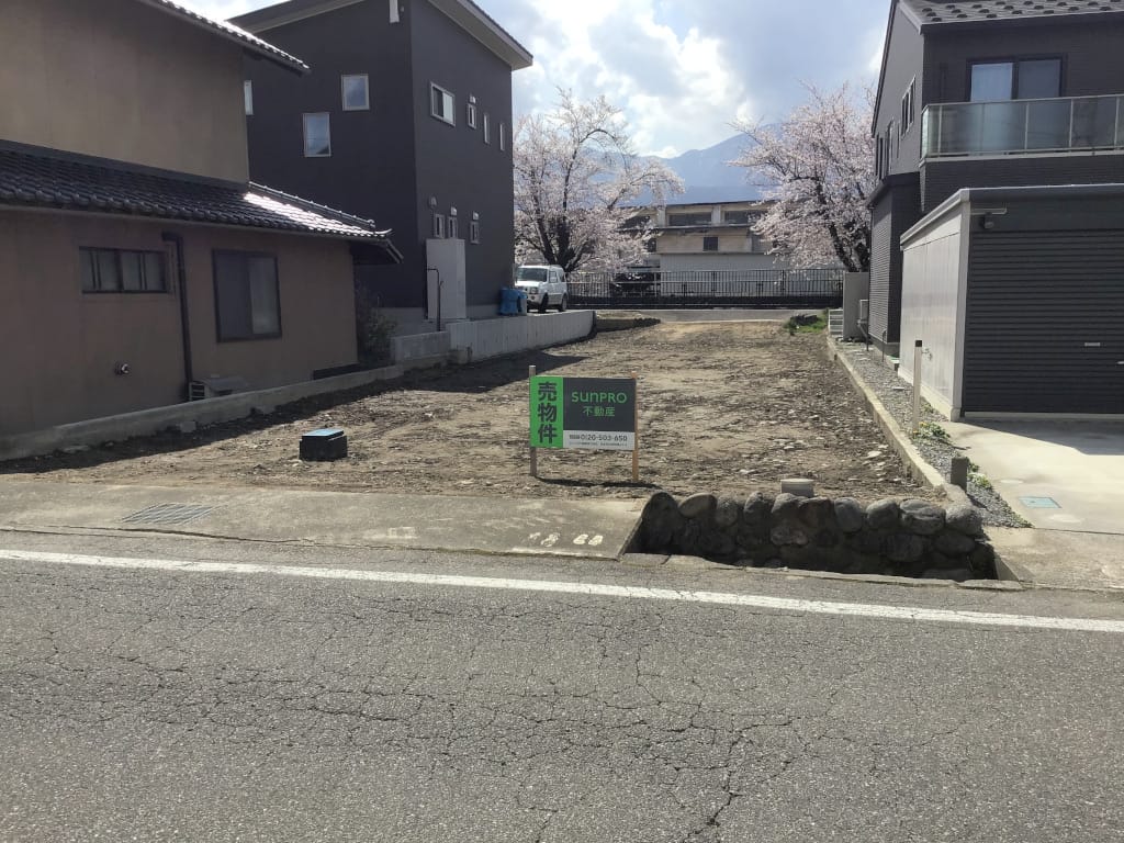 2025年4月11日撮影