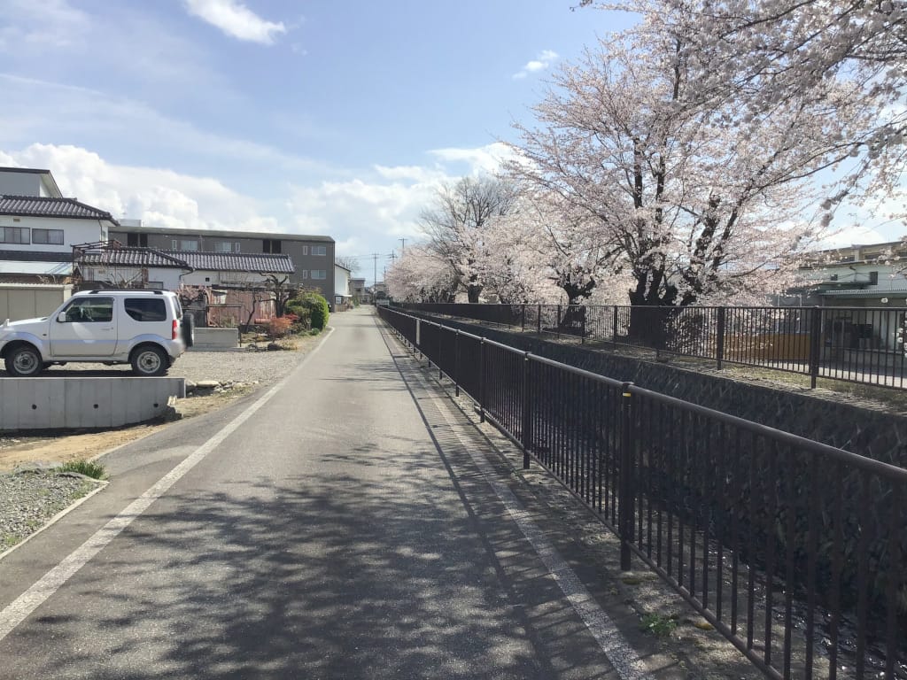 2025年4月11日撮影