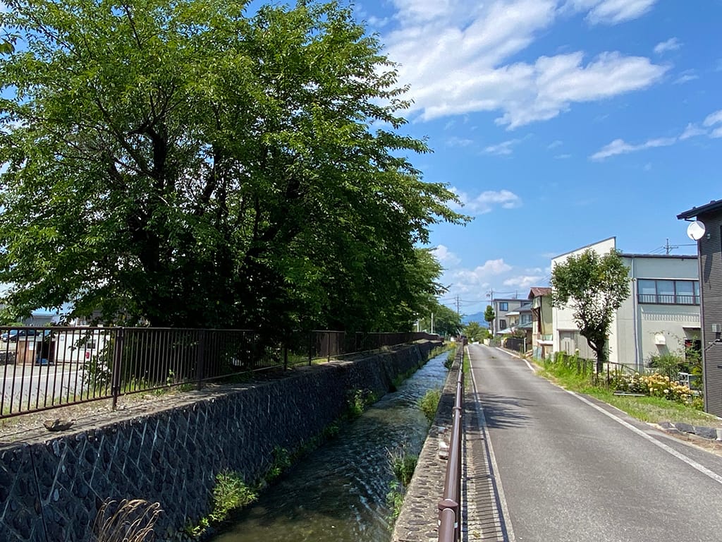 2026年7月撮影