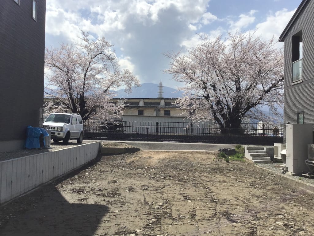 2025年4月11日撮影