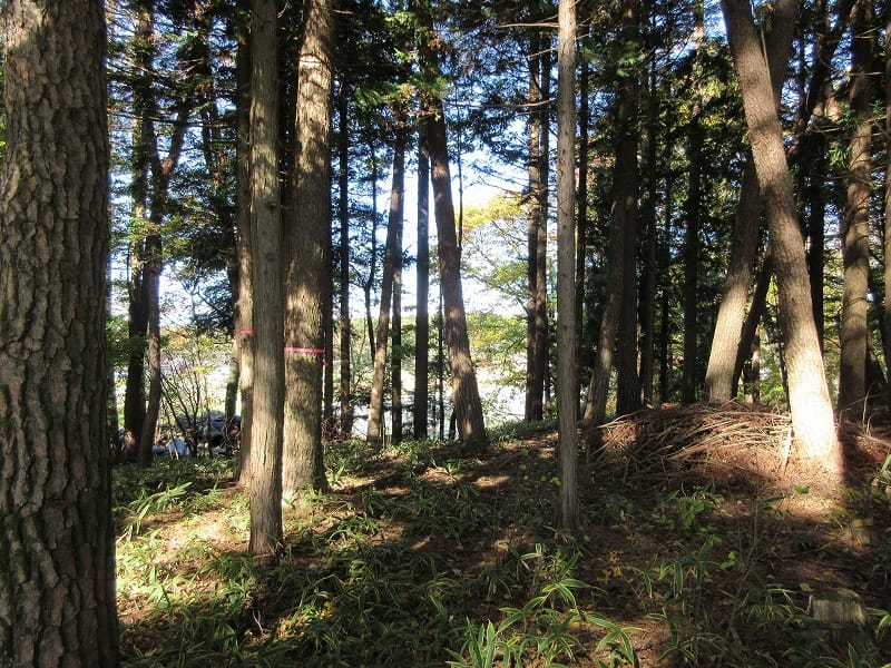 物件北方向を撮影(2025年11月)