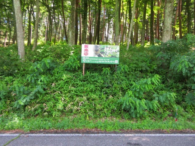 前面道路から東方向を撮影(2026年7月)
