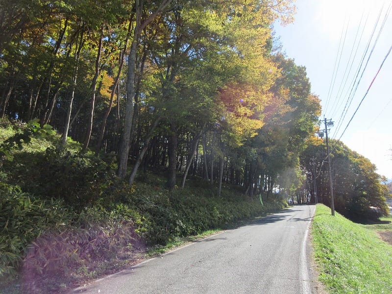 前面道路北側から撮影(2025年11月)