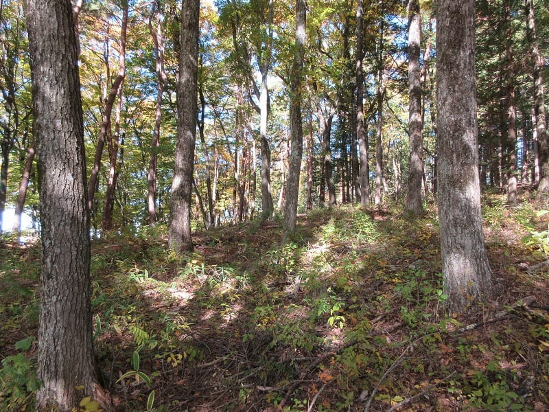 前面道路から物件を撮影(2025年11月)