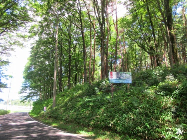 前面道路南側から撮影(2026年7月)