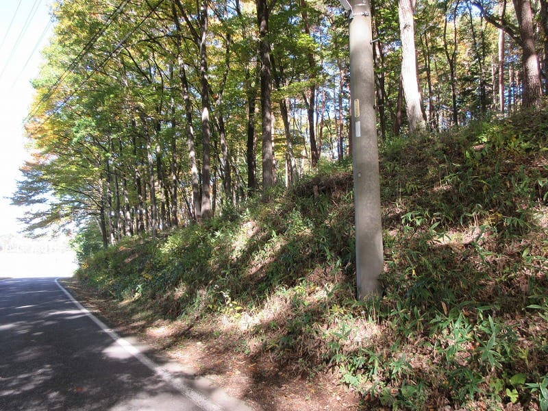 前面道路から北方向を撮影(2025年11月)