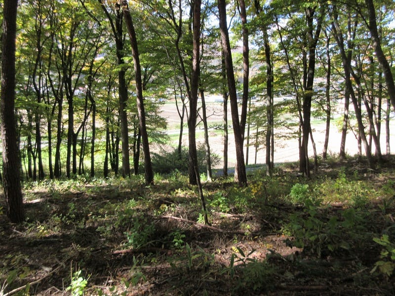 物件から西方向を撮影(2025年11月)