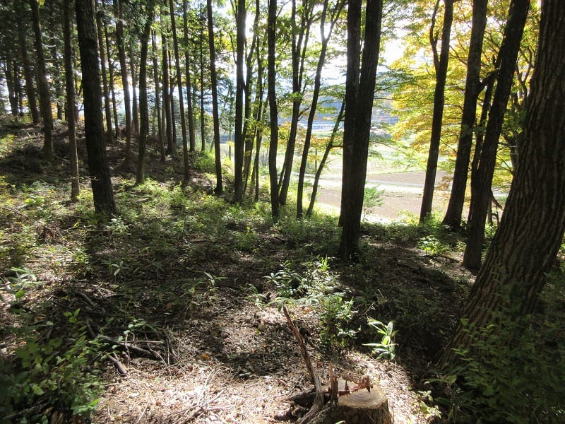 物件から南方向を撮影(2025年11月)