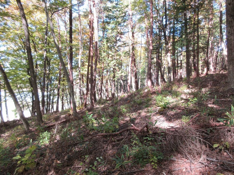 物件北方向を撮影(2025年11月)