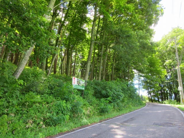 前面道路北側から撮影(2026年7月)