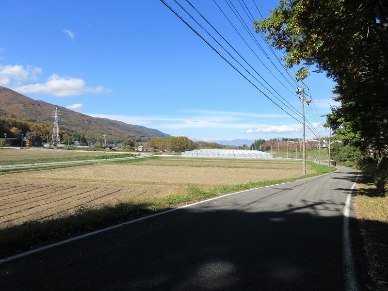 前面道路から北方向の眺望(2025年11月)