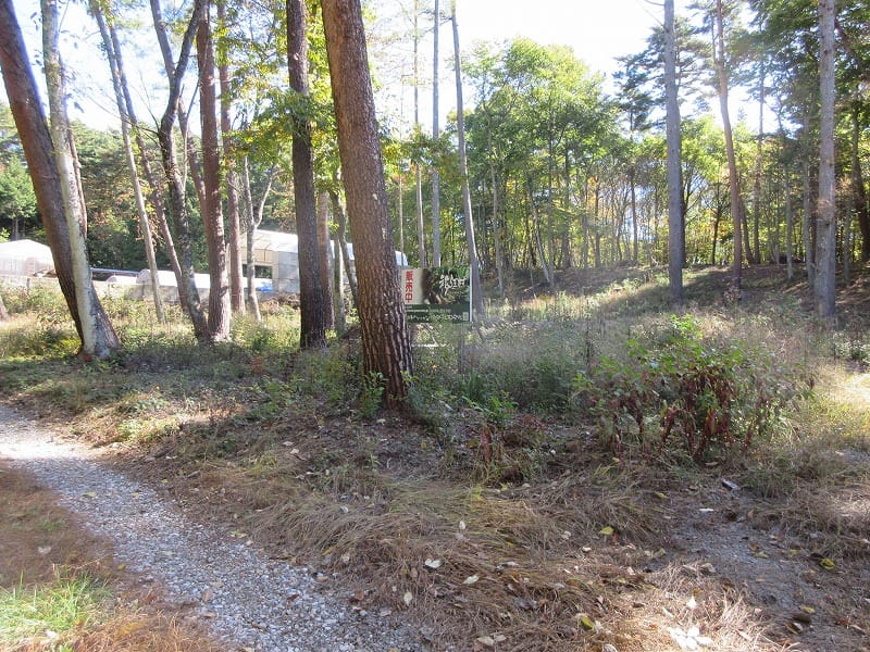 前面道路西側から撮影(2025年10月)