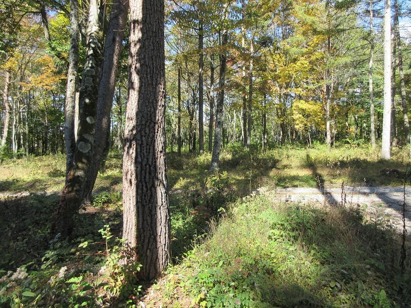 物件北方向を撮影(2025年10月)