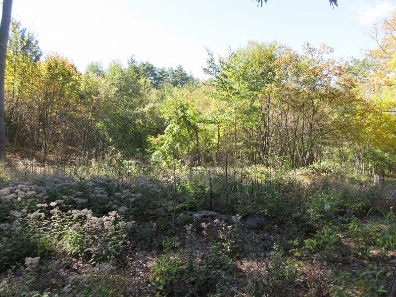 物件西方向を撮影(2025年10月)