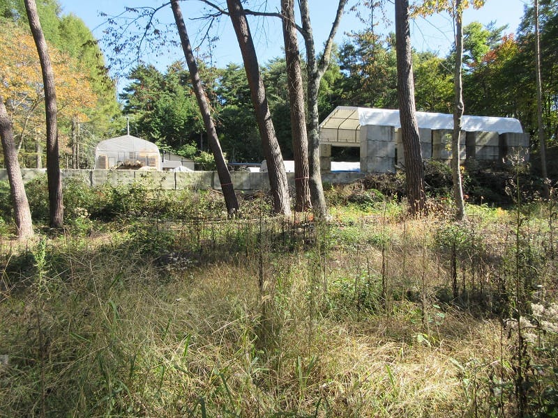 物件東方向を撮影(2025年10月)