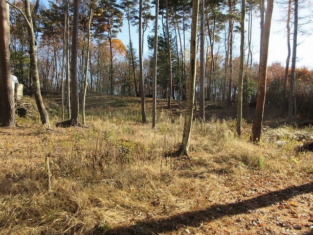 前面道路から撮影(2025年11月)