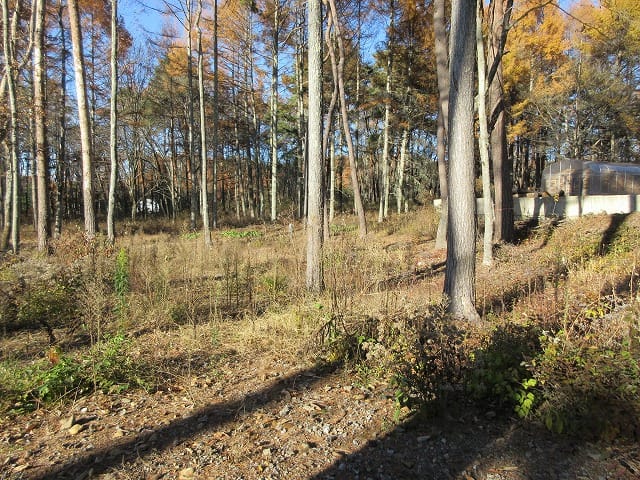 物件北方向を撮影(2025年11月)