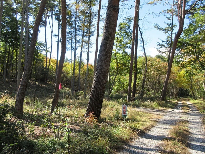 前面道路東側から撮影(2025年10月)