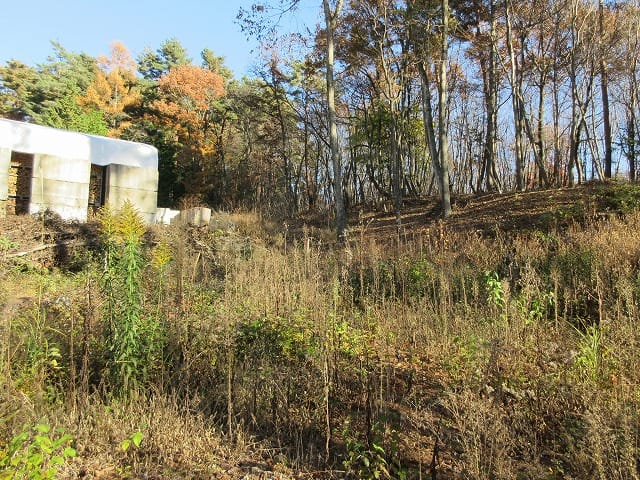 物件東方向を撮影(2025年11月)