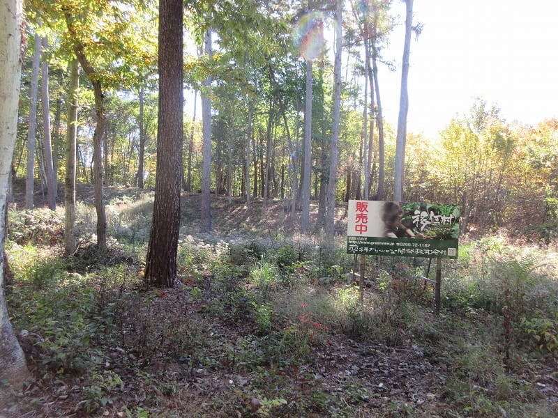 物件南側から撮影(2025年10月)