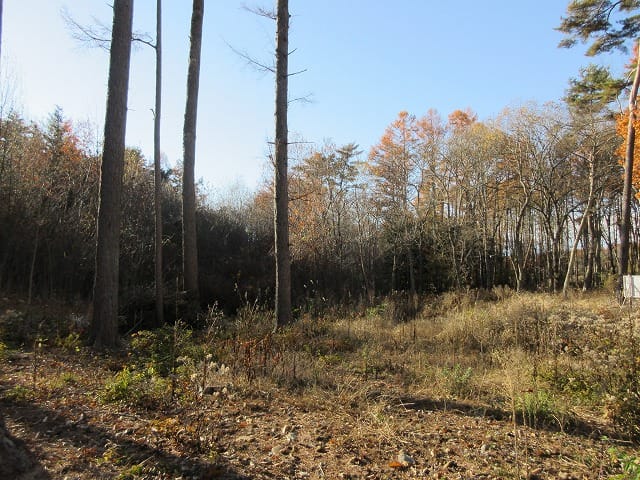 物件西方向を撮影(2025年11月)