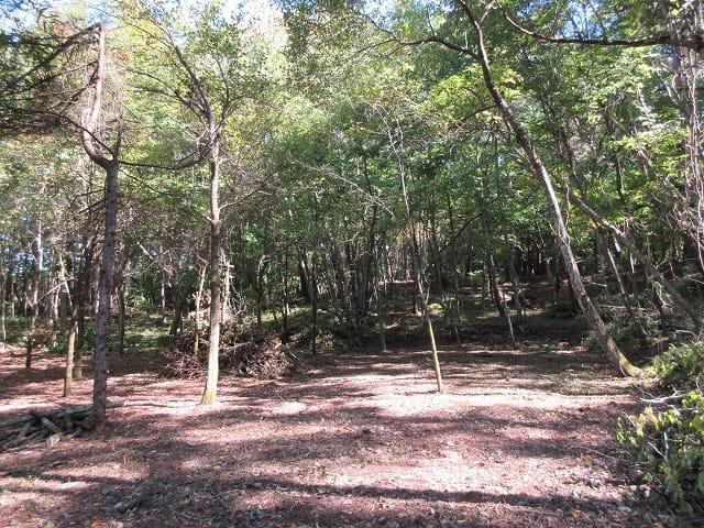 物件東方向を撮影(2025年10月)